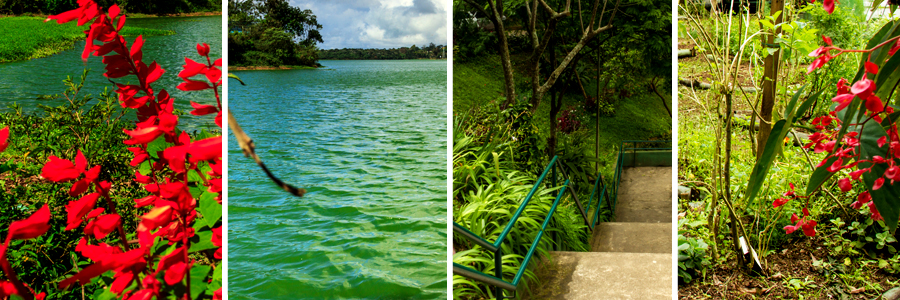 Mosaico com quatro fotografias sendo a primeira de flores vermelhas com grama verde ao redor, a segunda água da represa com visão das árvores ao horizonte, a terceira de uma escadaria com a lateral cheia de árvores, grama e arbustos, e a quarta de flores vermelhas entre arbustos verdes.